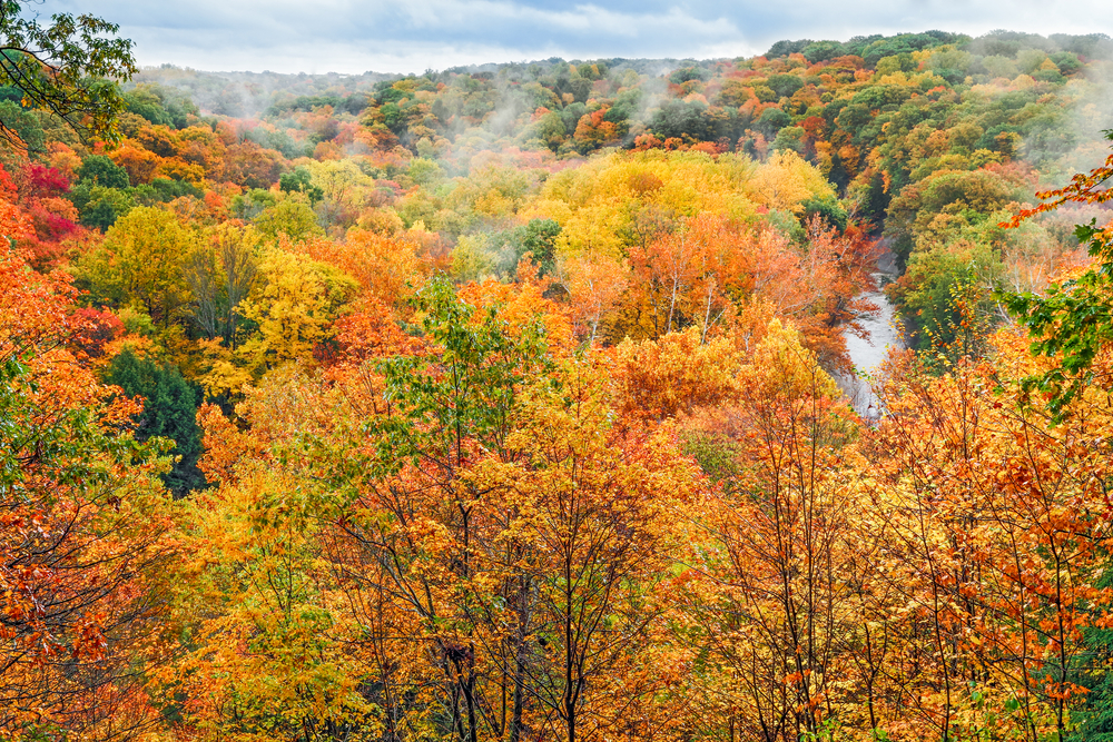 Fall foliage in Ohio is at its best at Cuyahoga Valley National Park