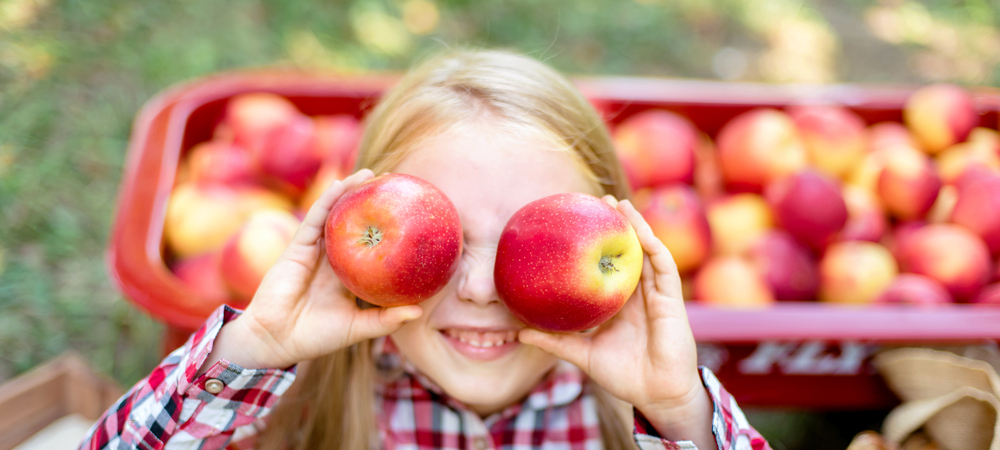 Children have so much fun in Ohio apple orchards