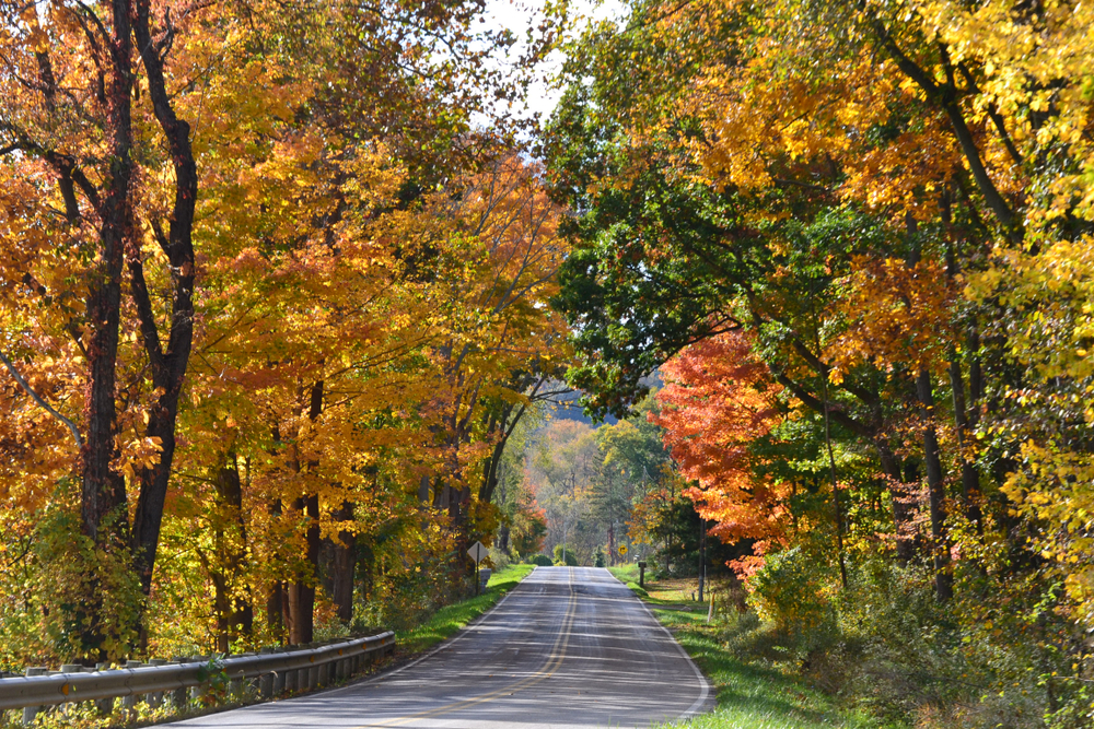 Be on the lookout when Driving Ohio roads for spectacular Ohio fall foliage.