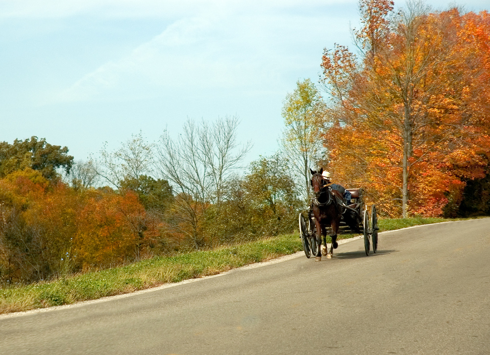 Holmes County is one of the best places to see fall foliage in Ohio