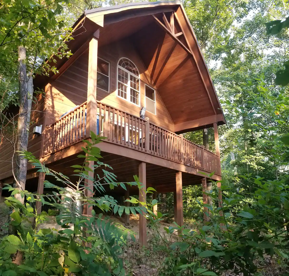 Beautiful wooden treehouse cabin in the woods.