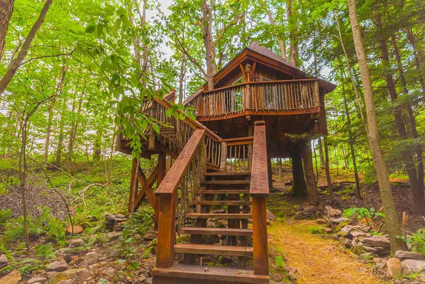 A treehouse with wide wooden entry staircase