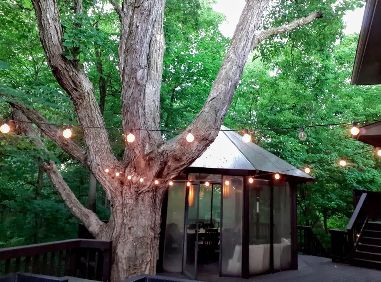 Screened gazebo with twinkling lights on patio with wooden floor large tree trunk in foreground and green trees in background. A great VRBO cabin rental.