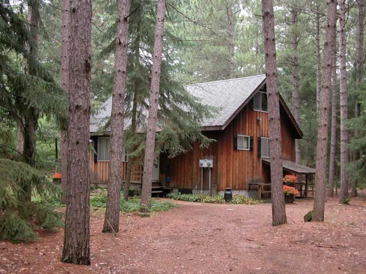 Beautiful charming cabin in Wisconsin woods 