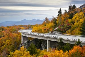 thin road curving through autumn trees fall road trips