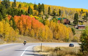 motorcyclist on road surrounded by trees beginning to change to autumn colors fall road trips