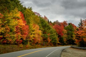 slanted road lined with green, yellow, orange, and red trees fall road trips