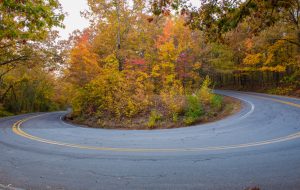 U-turn in road surrounded by fall foliage