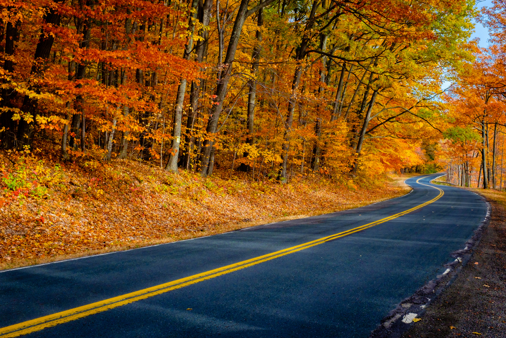 Fall road in New York with blazing colors