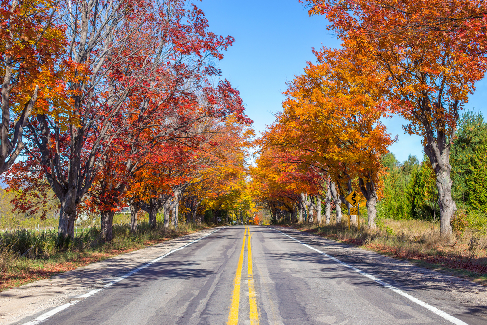 Upper Michigan fall foliage