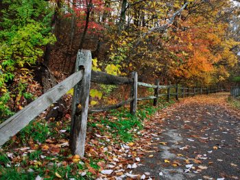 Beautiful path in autumn in Ohio to hike