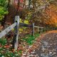 Beautiful path in autumn in Ohio to hike