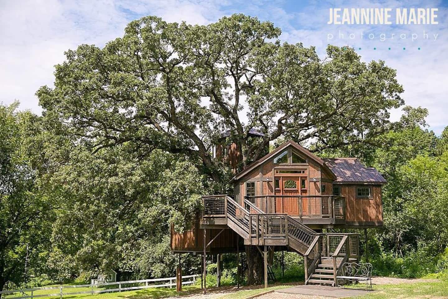 Bright sunny day showcasing a huge wooden treehouse surrounded by huge green trees.