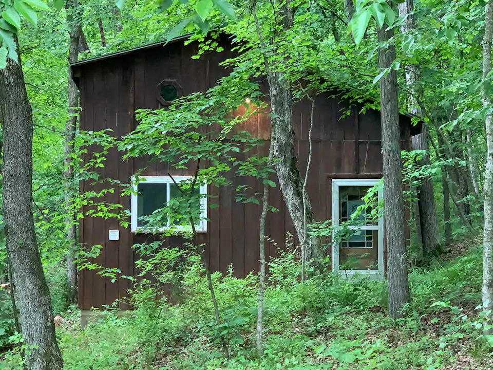 Rustic wooden cabin in middle of green woods with several windows is one of the best Missouri Airbnbs.