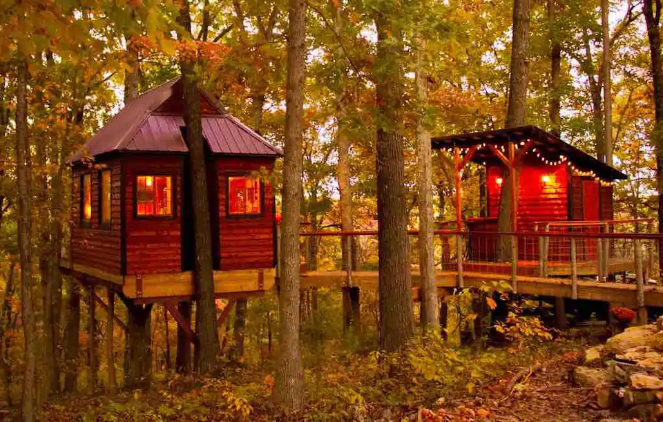 Two cabins built within the trees and brightly lit up.