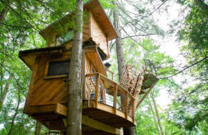 two story wooden treehouse