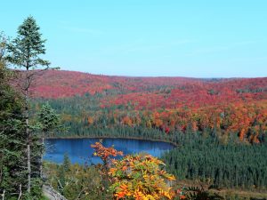 fall colors of Minnesota's North Shore