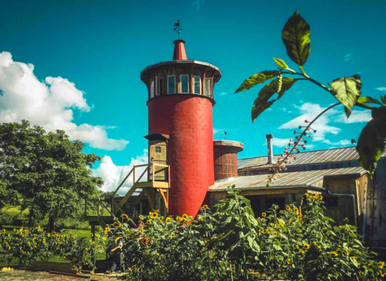 20 Airbnbs In Virginia (Cabins, Yurts, & More!) - Linda On The Run