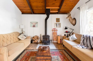 living room with taxidermy deer cabins in Pennsylvania