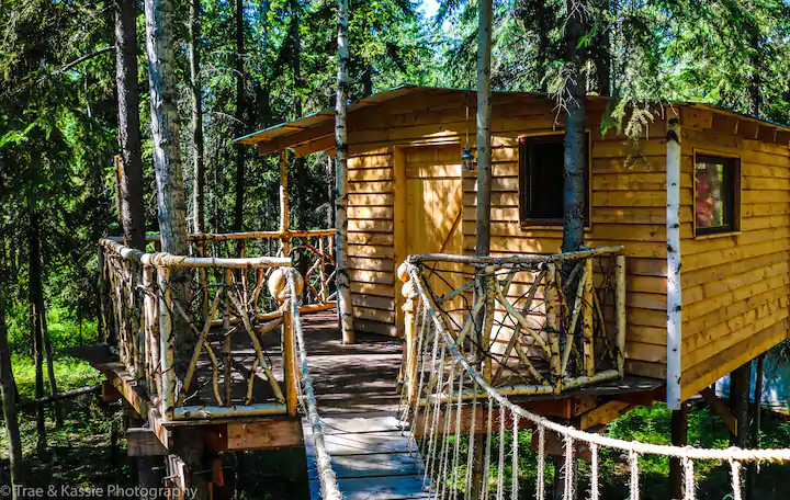 Photo of unique wooden Alaska rental cabin up in the treetops.