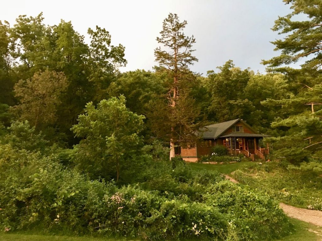 Cozy cabin nestled amongst trees.
