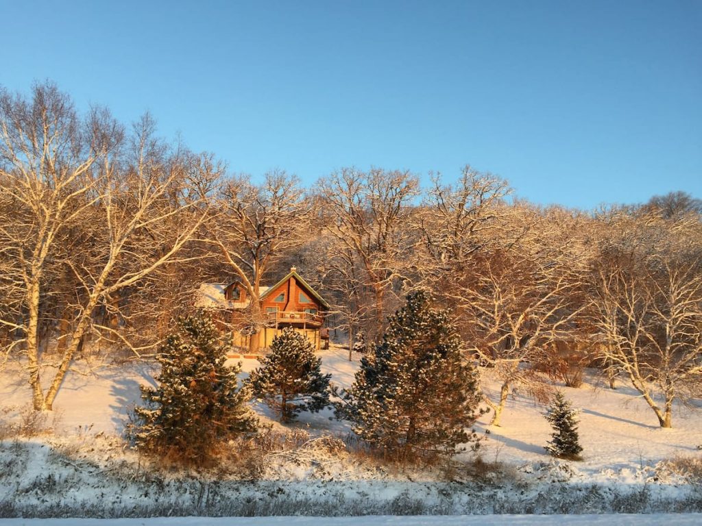 Cozy cabin nestled on hill amongst many trees, with snow on the ground.