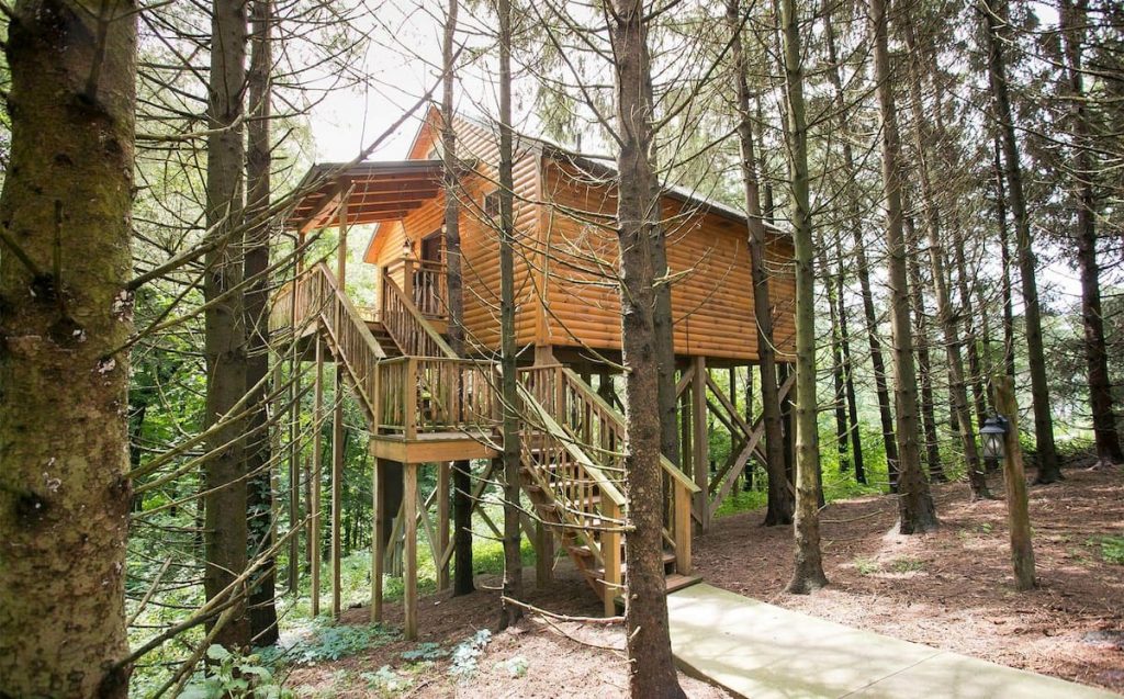Wooden treehouse with lots of stairs in the middle of forest.