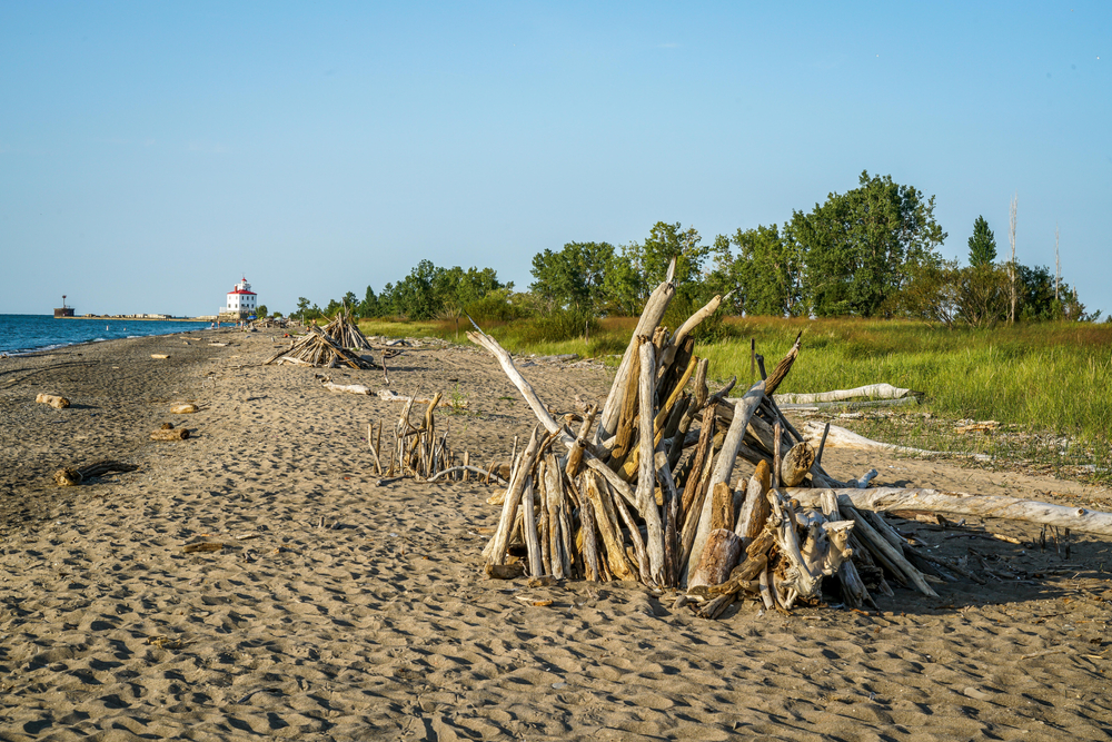 An empty sandy beach with large piles of drifted wood, a grassy area, and a lighthouse in the distance