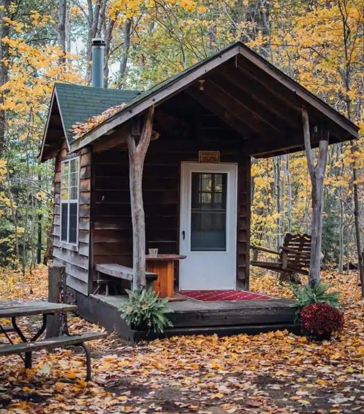 The exterior view of a rustic one room cabin surrounded by trees in the fall. 