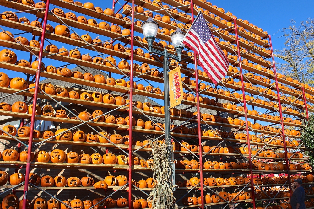 A massive stand full of carved pumpkins in Highwood Illinois