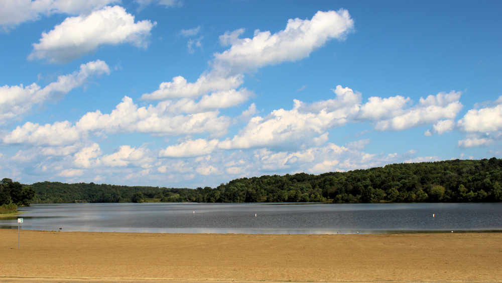 A large empty beach on a lake that is surrounded by trees