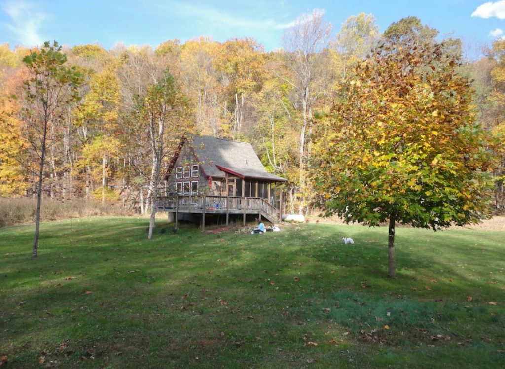A grey wooden cabin with red trim in the middle of a grassy patch. Behind it is tall grass and trees with no leaves or yellowing leaves. There is also a smaller tree in front of it with changing leaves that are brown, yellow and green. There is a person sitting in front of the house and a dog in the yard