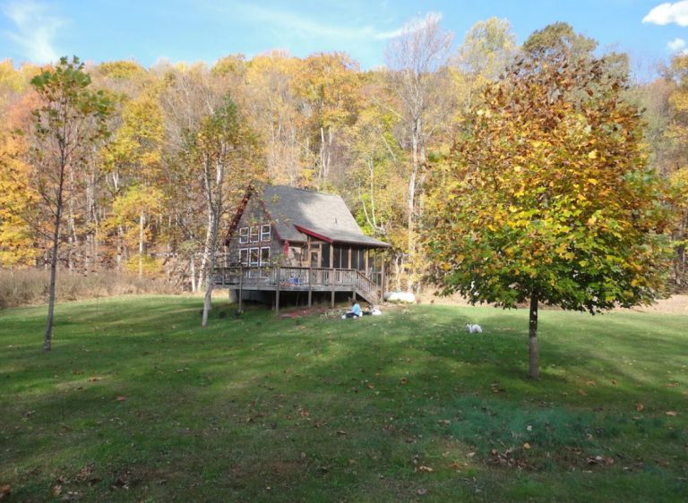 15 Best Airbnbs in West Virginia (Cabins, VRBOs & More!) Linda On The Run