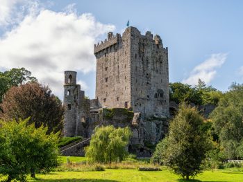 Stone castle surrounded by lush green trees and manicured lawn.