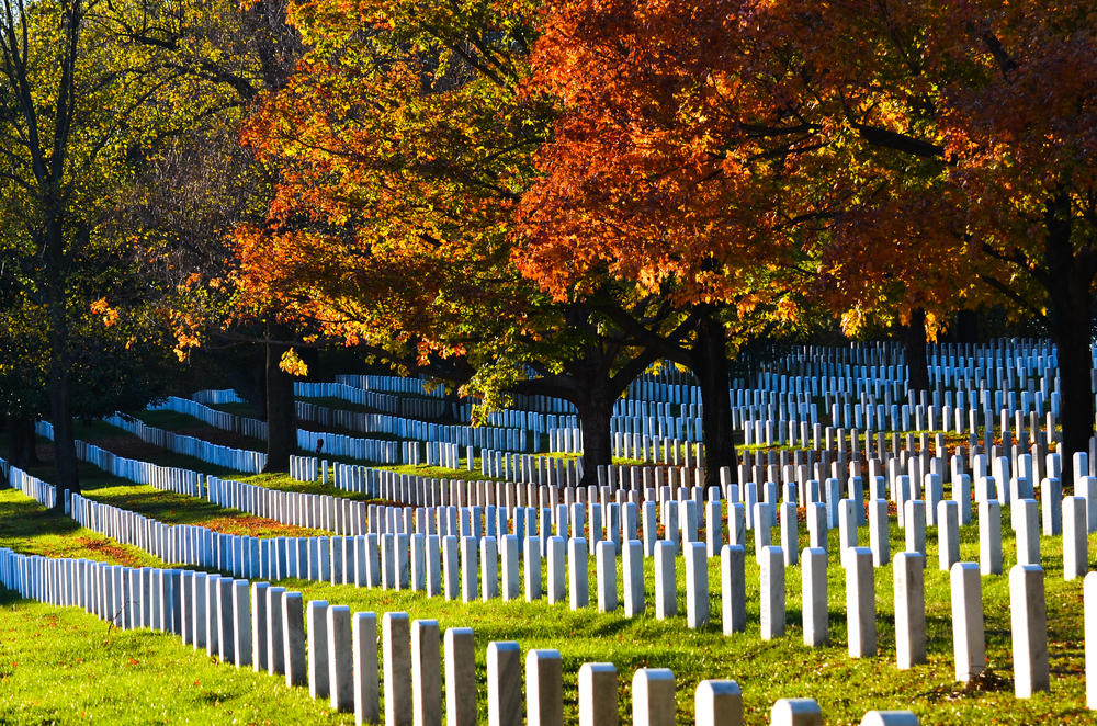 Rows of gravestones with fall trees.