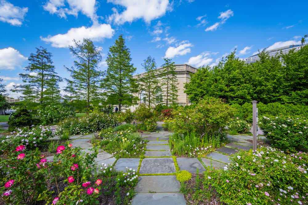 Paths through flowers at the U.S. Botanic Garden.