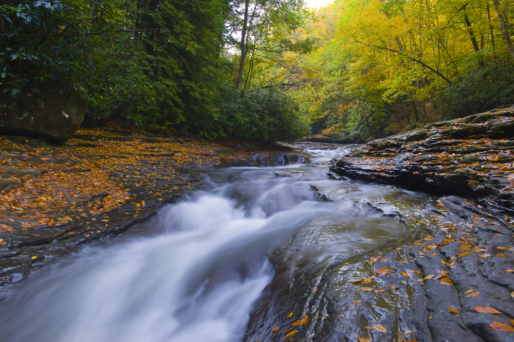 A stream running over large stones through a forest. There are dead leaves on the stones and the trees are mostly green, with a few yellow and orange leaves. 