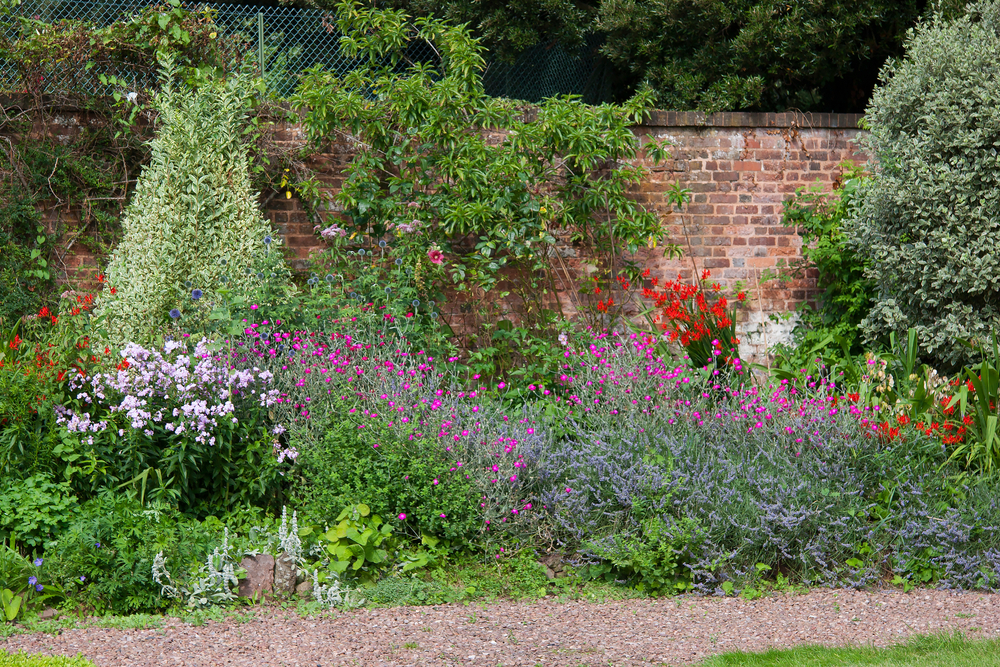 A classic English cottage style garden against a brick wall. There are blue, red, purple, and pink flowers. There are also shrubs and vines growing on the brick wall. 