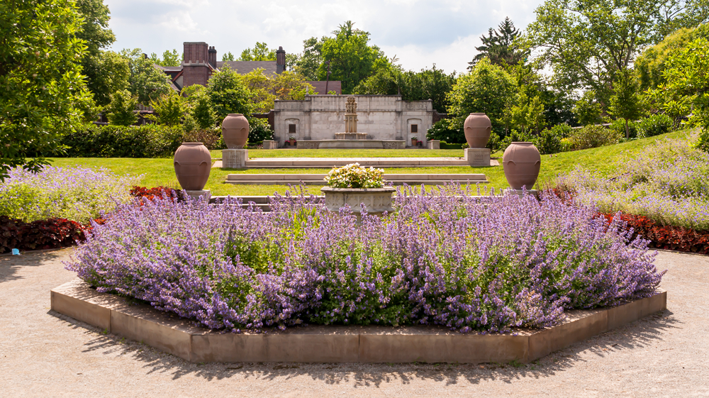 A section of Mellon Park in Pittsburgh. There are stoned off sections of plants with purple and red flowers. There are stone steps that lead to a green lawn, a large fountain, and a small stone building. 