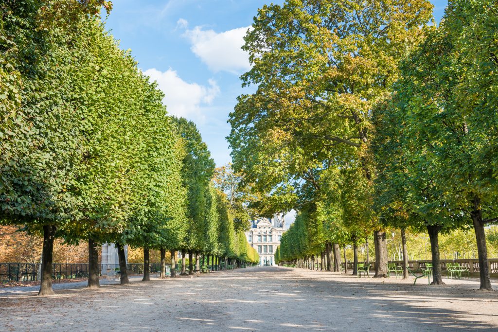 Beautiful park in Paris on bright sunny day with pathway bordered by tall manicured trees and ornate building in background. 3 days in Paris itinerary