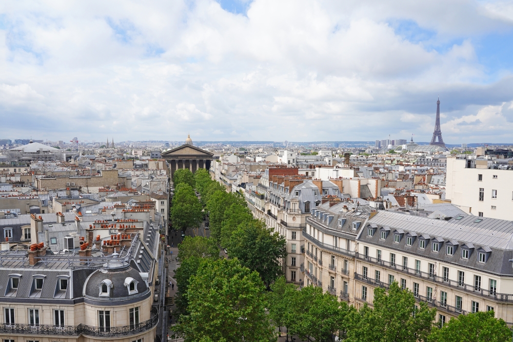 View of a tree lined street and the rooftops of Paris.