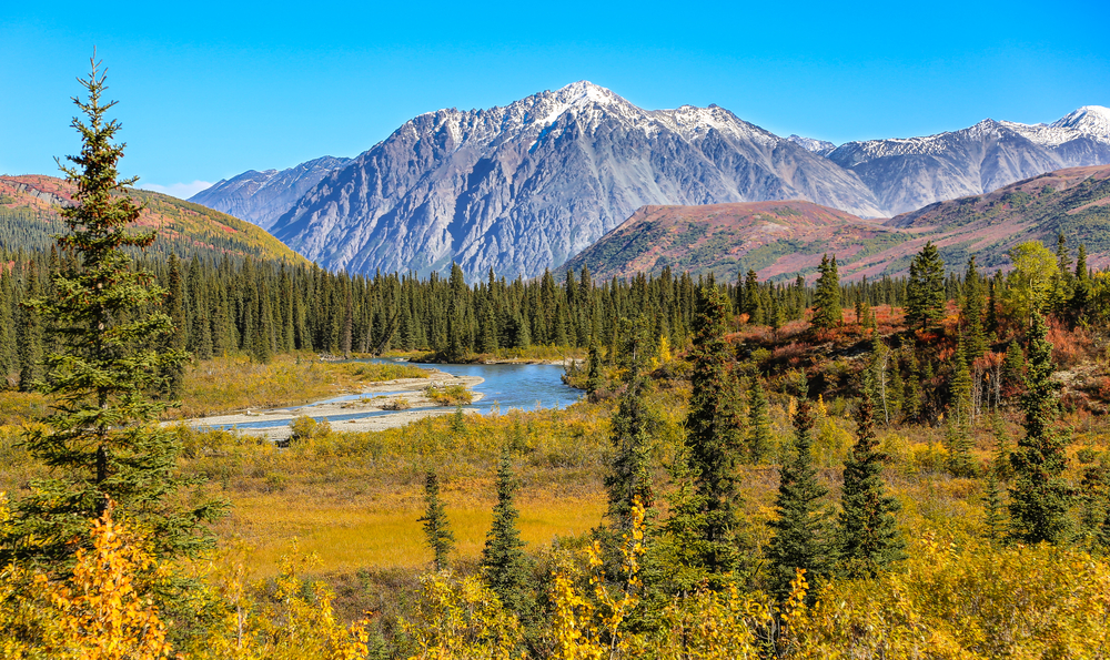 Beautiful forests, river, and Denali mountain in Denali National Park, one of the best places to visit in Alaska.