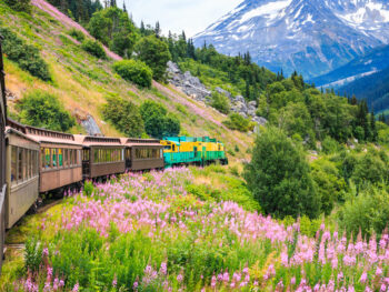 Railroad car passing through colorful meadow withAlaska mountains in background