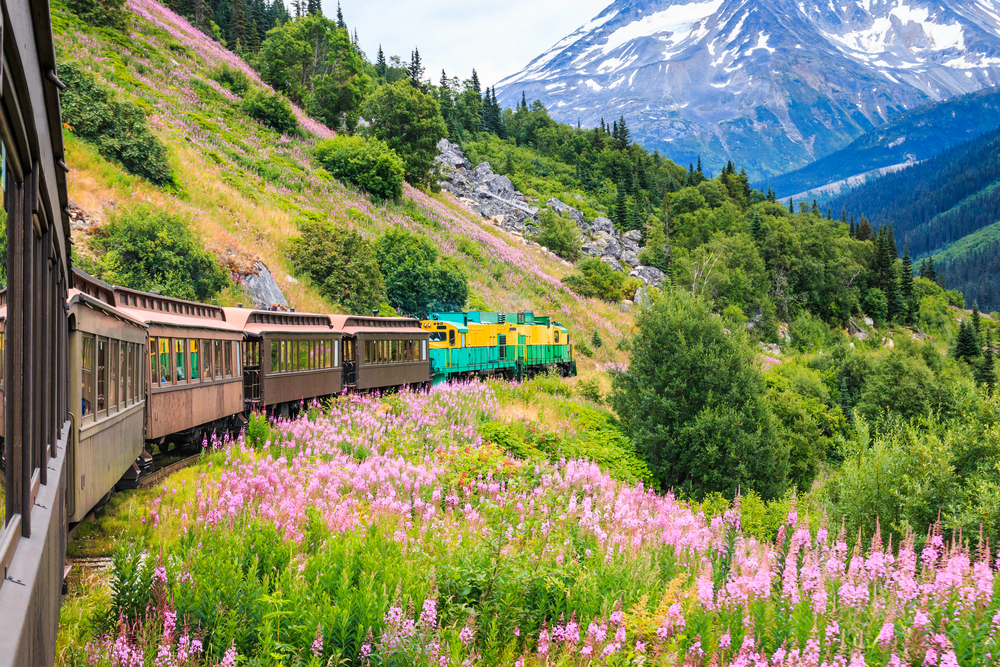 Railroad car passing through colorful meadow withAlaska mountains in background