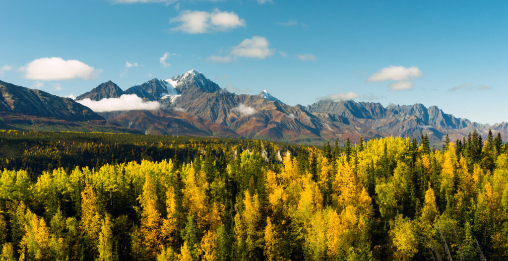 The Chugach National Forest Alaska in fall with mountains in the background. 