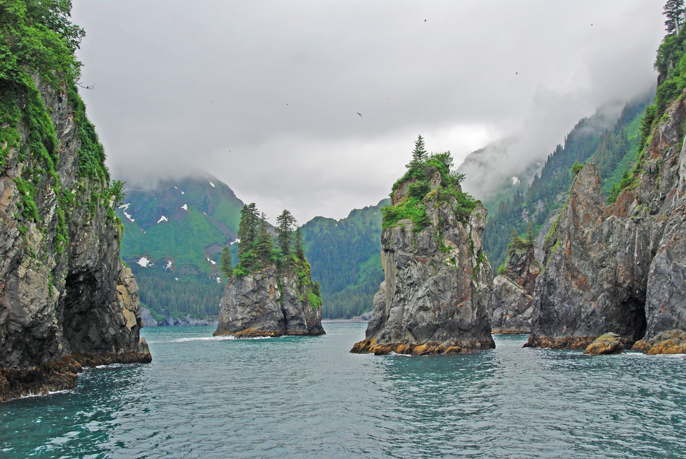 Porcupine Bay in Kenai Fjords National Park. The picture shows a body of water with stones with tress on coming out of it. 