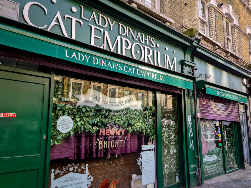 Shop frontage and signs of a cat emporium and cafe in the East End. Visiting here is one of the things to do in Shoreditch. 