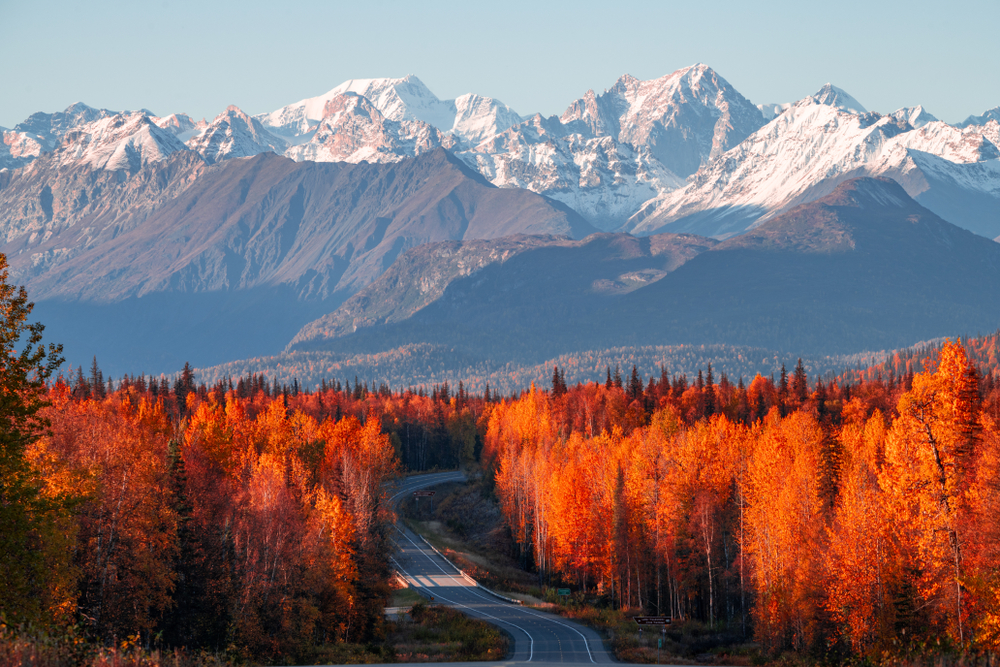 View of a mountain with red orange trees in the front