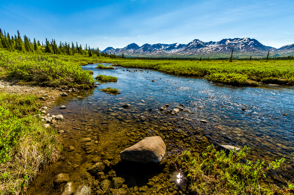 Clear river cutting through green vegetation with mountains in the distance.