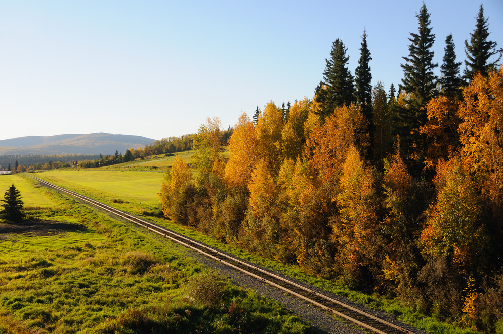 Railroad going through a valley with fall trees on one side